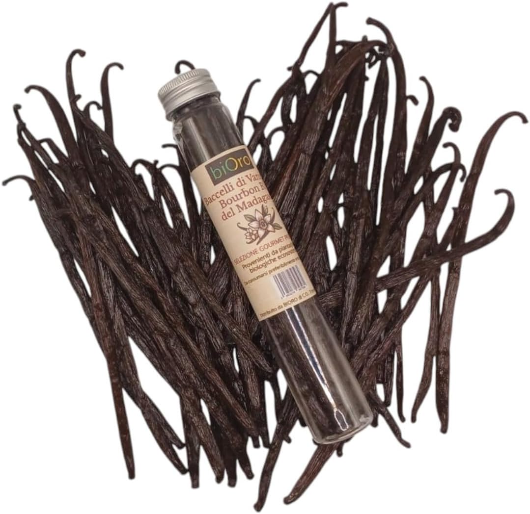 Bacelli di vaniglia nella piantagione